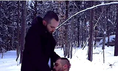 Two Straight Bearded Pig Unloading Their Balls In The Snowy Fields