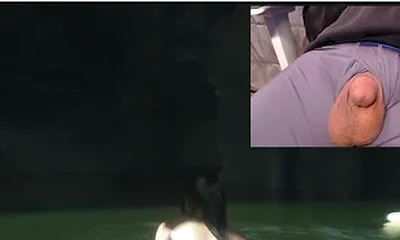 Rise Of The Cock Raider - Rotr Nude Mod Cock Cam Gameplay