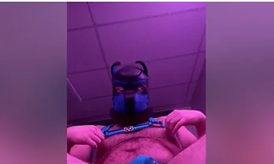 Hairy Bear Pup Knot