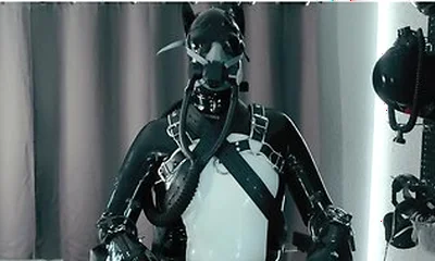 Rubber Pup Bound [pp Training]