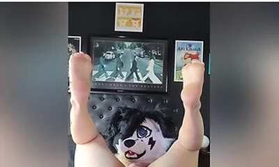 Femboy Furry Stretches His Hole With And Cums With A Bad Dragon Rex Knot Smashing His Puppy Button