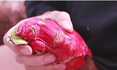 I Was So Horny I Fucked A Dragon Fruit