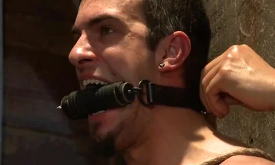 Phenix Rising - Phenix Saint And Patrick Rouge