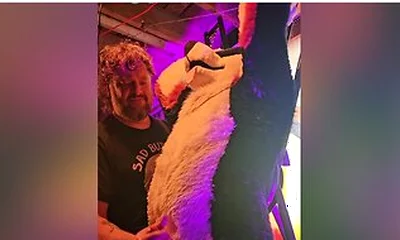 Blindfolded Canine Edged By Stepdaddy Bear Until He