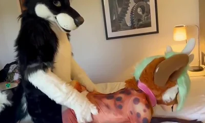 Eclipse Breeds Stephie