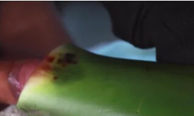 Jerking Off With Aloe Vera Ultil I Nut A Thick Load