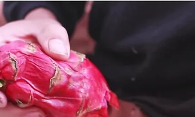 I Was So Horny I Used A Dragon Fruit To Jerk Off And Then Took A Long Piss