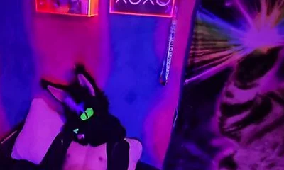 Alleycat Paws Off With New Toy